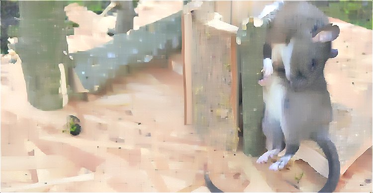 老鼠 (273).jpg