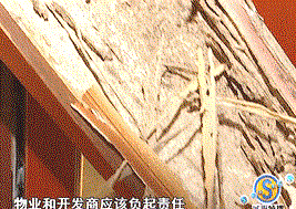 深圳白蚁防治 (7).gif