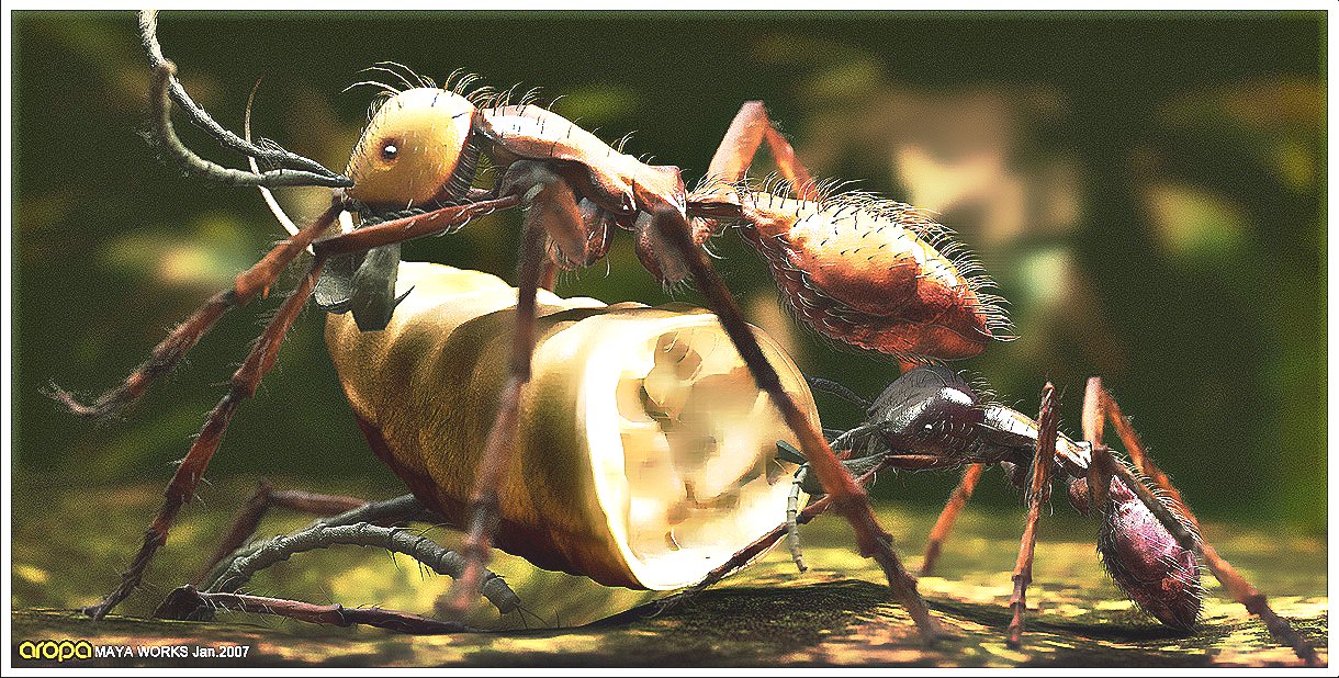 蚂蚁 (24).jpg
