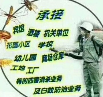 深圳消杀公司除四害灭蟑螂和老鼠 (154).jpg