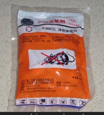 深圳灭鼠公司 如何快速有效灭鼠 (378).jpg